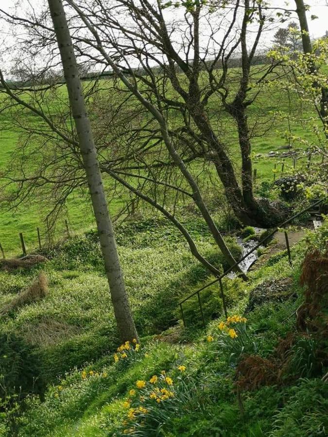 Relax In A 1 Bedroom Apartment Near A Country Pub Eyemouth Eksteriør billede