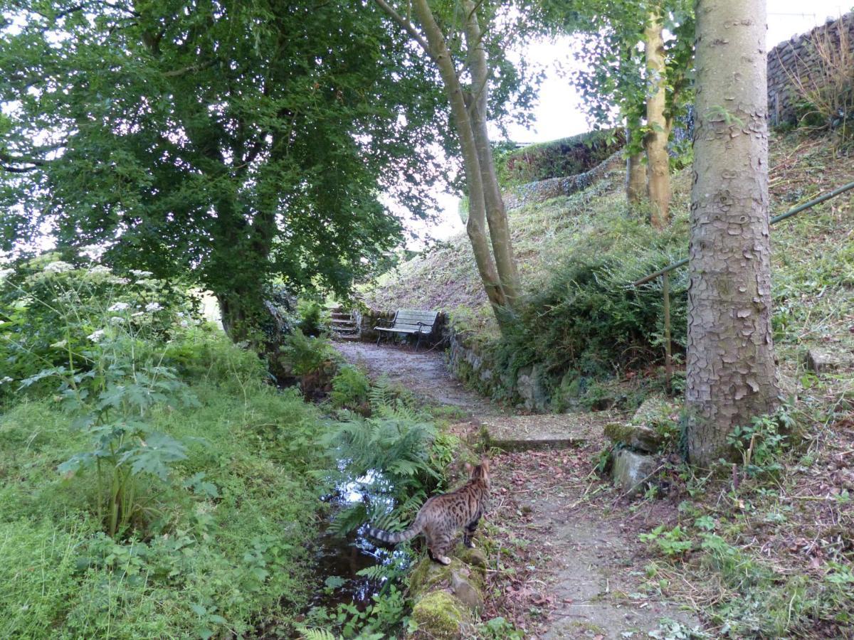 Relax In A 1 Bedroom Apartment Near A Country Pub Eyemouth Eksteriør billede