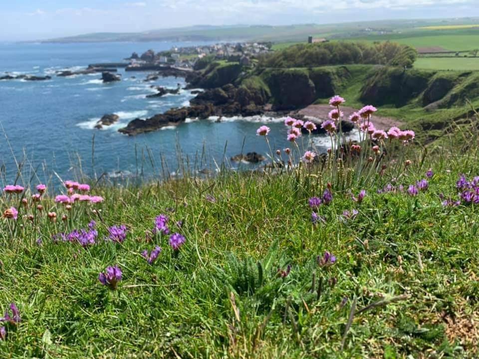Relax In A 1 Bedroom Apartment Near A Country Pub Eyemouth Eksteriør billede