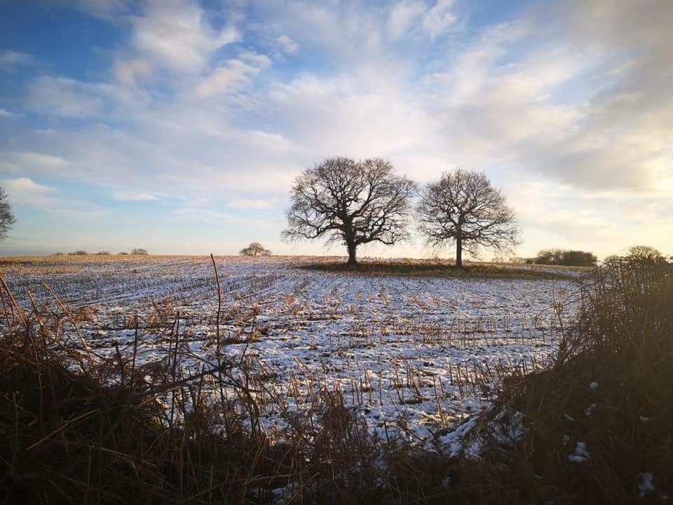 Relax In A 1 Bedroom Apartment Near A Country Pub Eyemouth Eksteriør billede