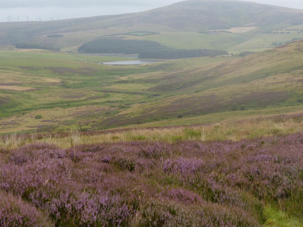 Relax In A 1 Bedroom Apartment Near A Country Pub Eyemouth Eksteriør billede